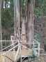 03Zipline - 06 * To get to the last course, you have to cross this suspension bridge (your harness is strapped into a cable for this too)